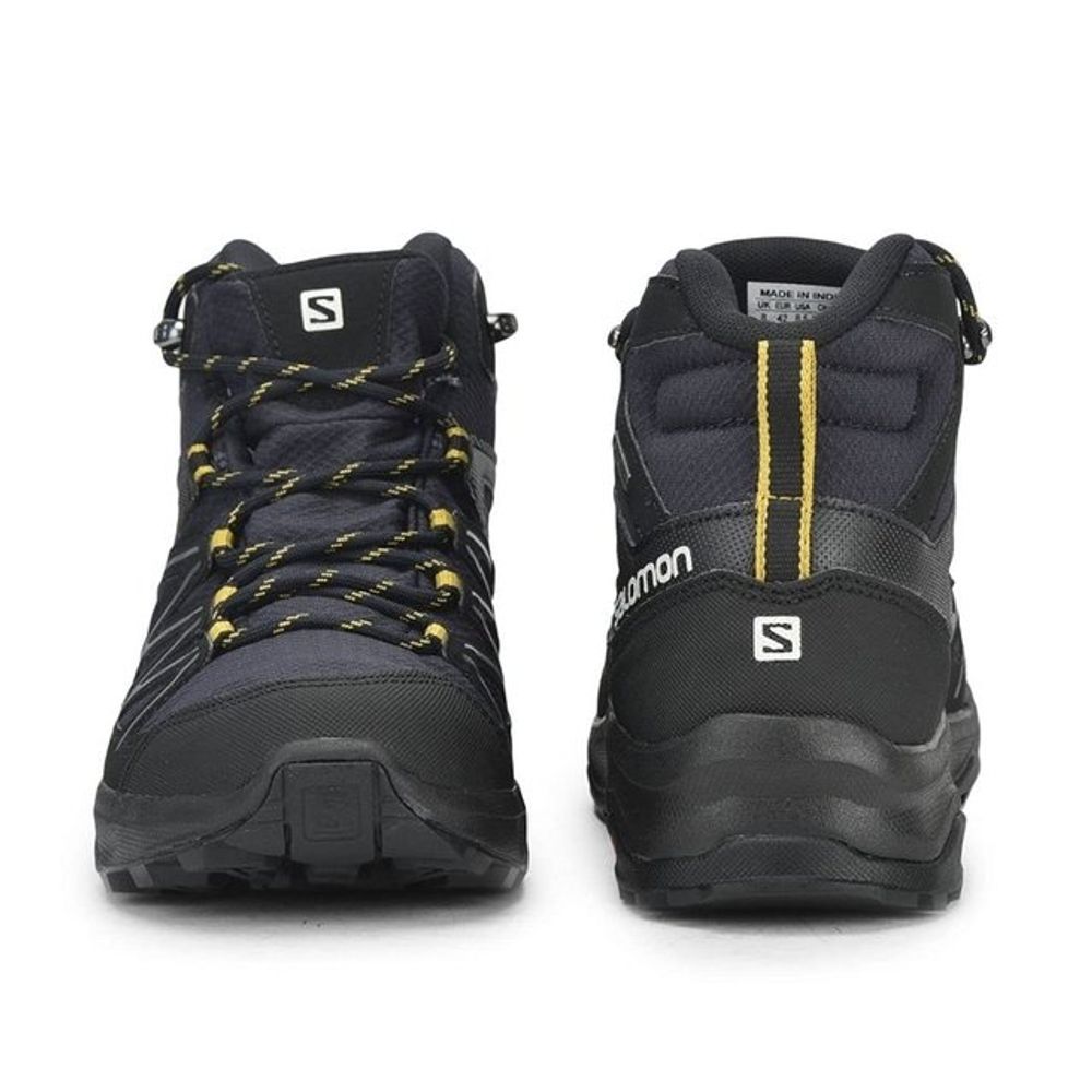 daintree mid gtx